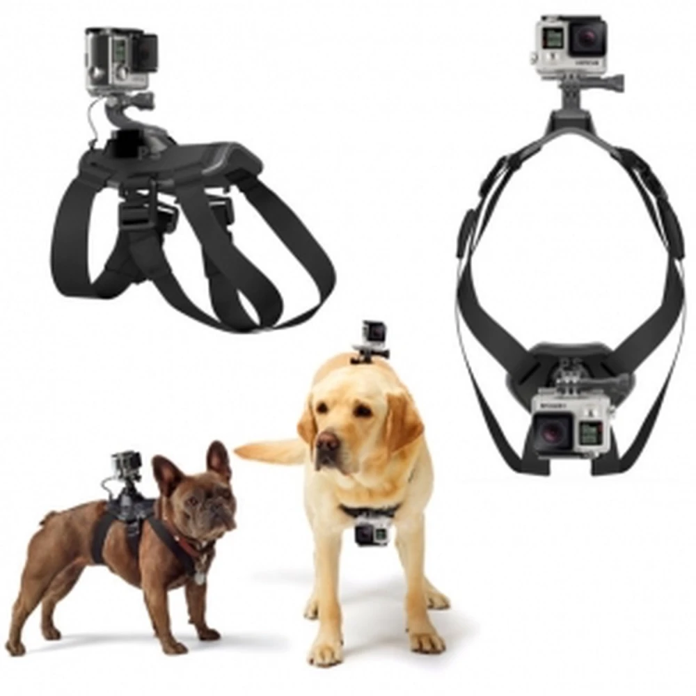 Λουρί σκύλου για GoPro 1/2/3 και SJ4000, ρυθμιζόμενο και ανθεκτικό
